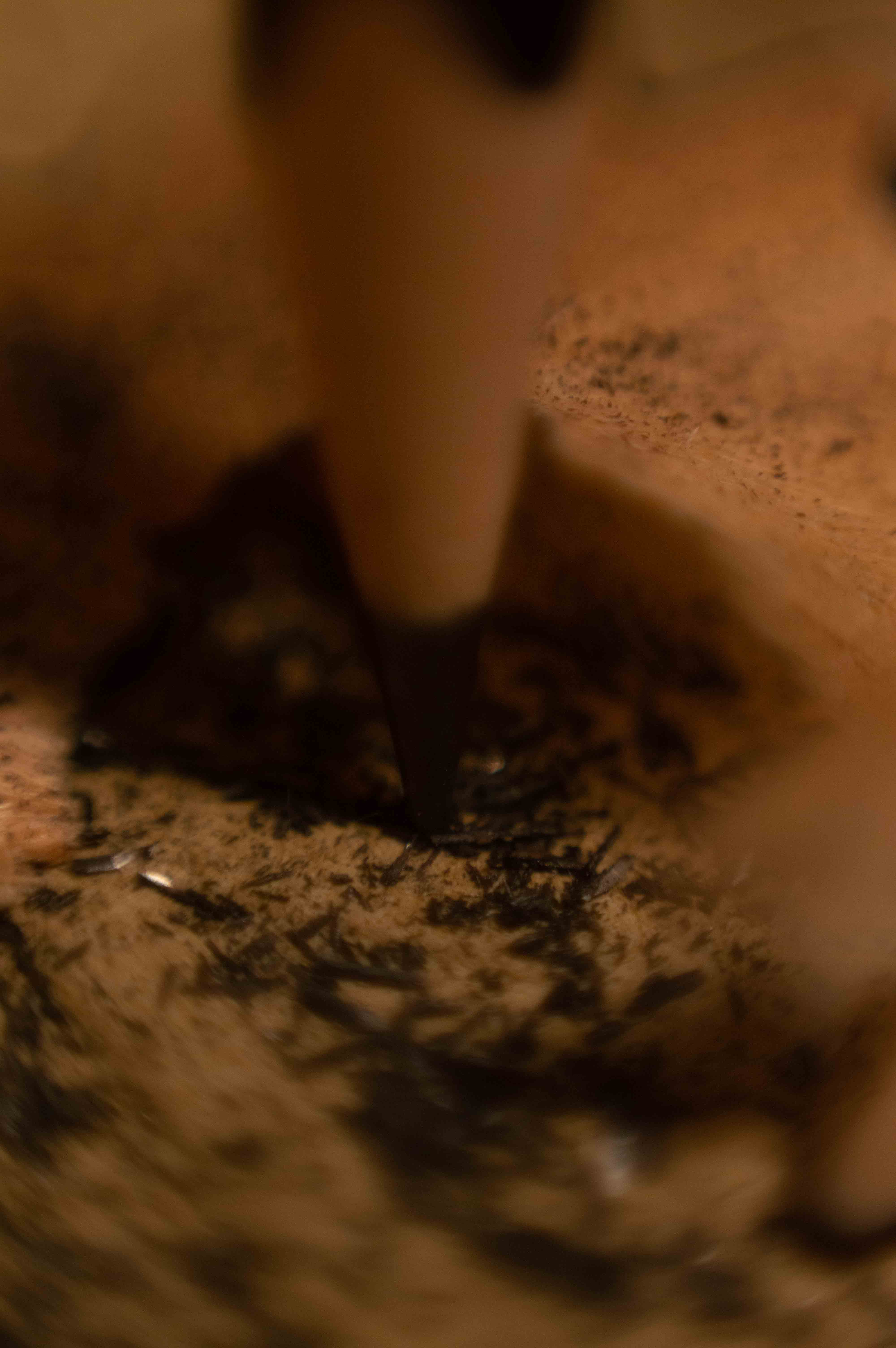 Macro shot of pencil on wood